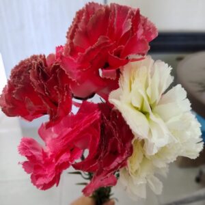 FLOR CLAVELES X 10 46 CM