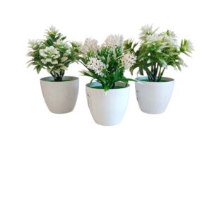 PLANTA PLAST DECO SURTIDAS