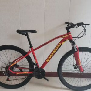 BICICLETA R29 21V  FRENOS A DISCO  SANHEMA